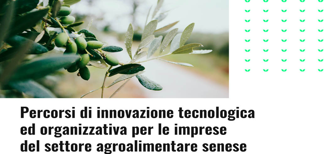 Siena Food Lab: bando per le aziende olivicole | Fondazione Monte dei Paschi di Siena