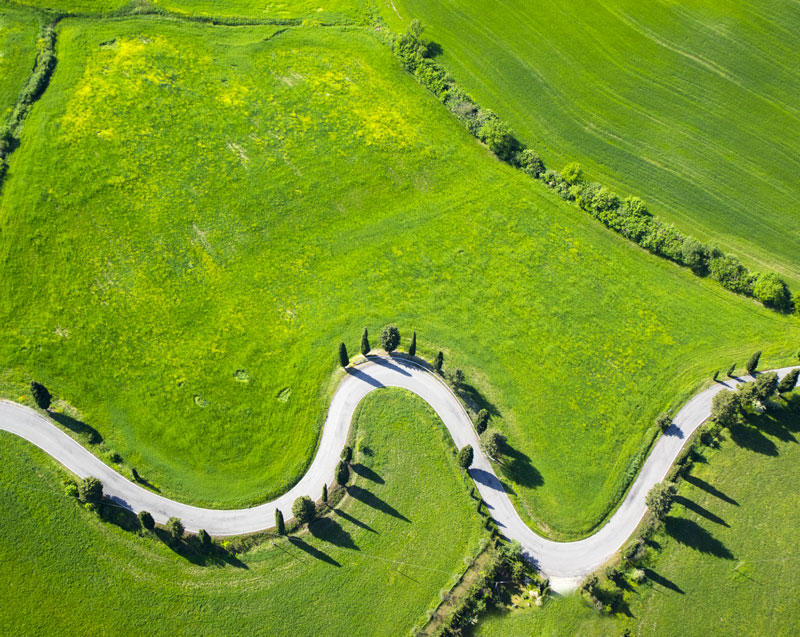 Siena Carbon Neutral: opportunità di un obiettivo raggiunto Save the date: 16 aprile 2021 ore 16.00 – evento live sui canali social dell’Alleanza Carbon Neutrality