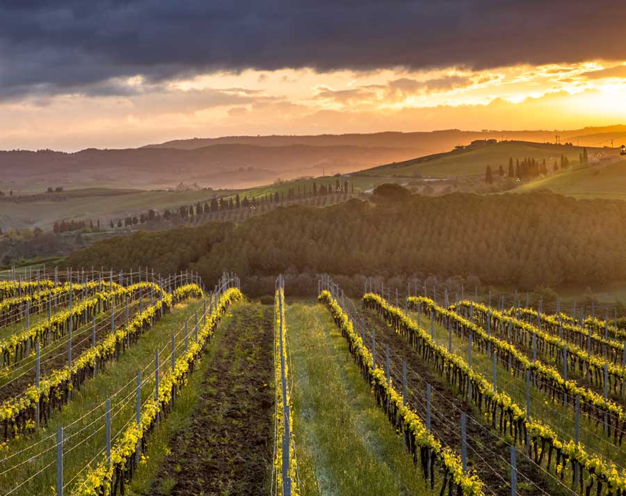 Paesaggio agricolo